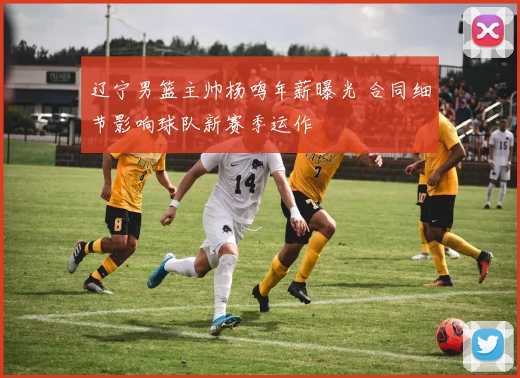 辽宁男篮主帅杨鸣年薪曝光 合同细节影响球队新赛季运作