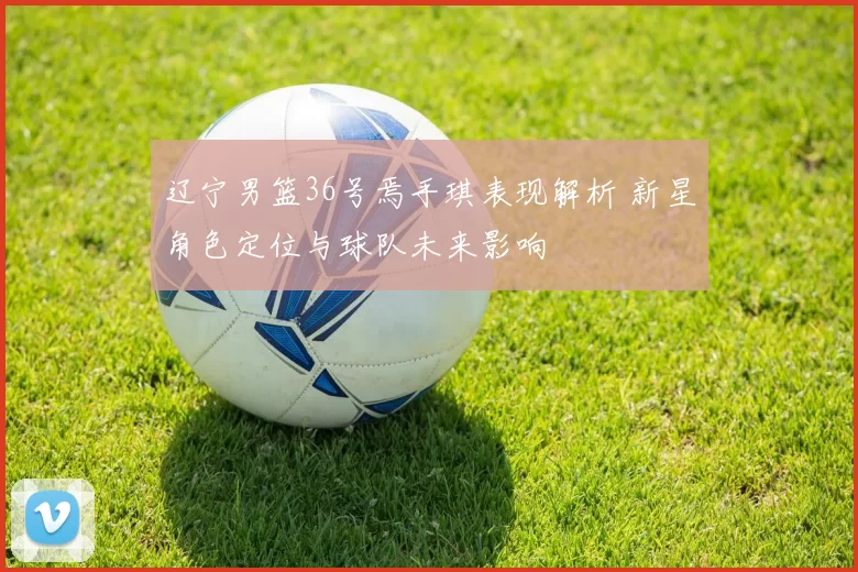 辽宁男篮36号焉手琪表现解析 新星角色定位与球队未来影响