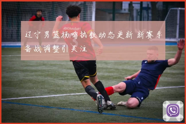 辽宁男篮杨鸣执教动态更新 新赛季备战调整引关注