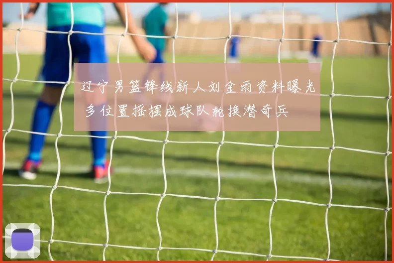 辽宁男篮锋线新人刘金雨资料曝光 多位置摇摆成球队轮换潜奇兵