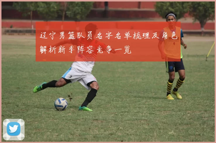 辽宁男篮队员名字名单梳理及角色解析新季阵容竞争一览