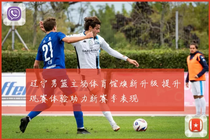 辽宁男篮主场体育馆焕新升级 提升观赛体验助力新赛季表现