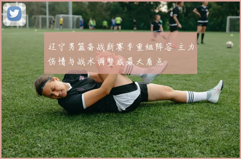 辽宁男篮备战新赛季重组阵容 主力伤情与战术调整成最大看点