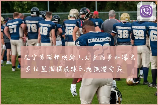 辽宁男篮锋线新人刘金雨资料曝光 多位置摇摆成球队轮换潜奇兵